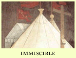 immiscible
